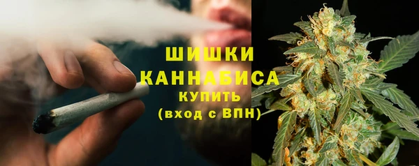 дурь Арсеньев