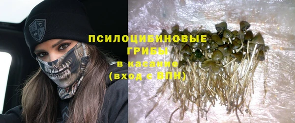 ECSTASY Балахна